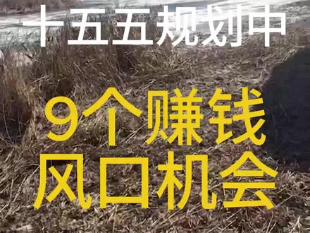 看懂十五五大趋势,才能挣到钱 吐血整理九个风口机会,绝对干货,一定要看完#赚钱 #风口 #机会 #十五五规划