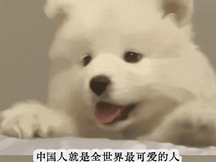 被米兰小哥青睐的酥心糖我也要尝尝咸淡#徐福记邀请米兰小哥来中国