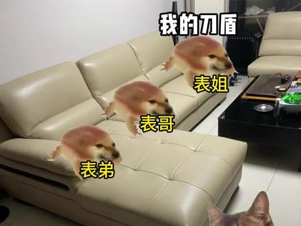 当兄弟姐妹被洗脑后#猫meme #抖音小助手dou上热门 #巴巴博一 #我的刀盾