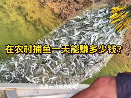 但凡辛苦,皆为礼物
#我的乡村生活 #户外捕鱼 #户外爆网