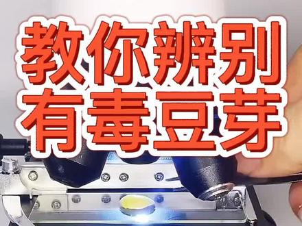 教你辨别有毒豆芽
#豆芽