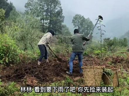 #我的乡村生活 #抖音精选
家的温馨大于富有