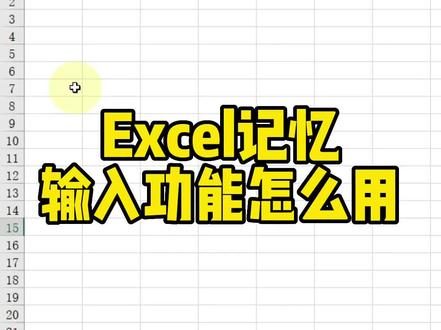 Excel记忆输入功能怎么用#excel技巧 #office办公技巧 #文员零基础入门教程
