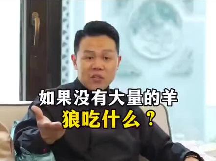如果没有大量的羊🐏,狼🐺吃什么?认真听完学会了变通思维