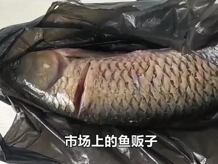 去市场买鱼,为什么鱼贩子都用黑色塑料袋?没想到有这么多猫腻!#涨知识 #科普 #黑色塑料袋 #星河知识计划