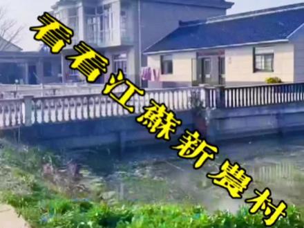 东北朋友看看江苏(启东)新农村#简单平淡的乡村生活让人向往 #用抖音记录农村真实生活 #每天都记录我的农村真实生活日常 #家乡风景优美空气清新 @DOU+小助手