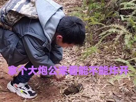 #农村孩子的乐趣 #快乐的童年把最美好的时光都给你 来来来→有多少人小时候玩过炮公炸牛粪的😀😀