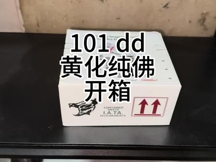 开箱101dd&鳄娜多姿黄化佛鳄#黄化佛鳄龟 #变异龟 #101dd
