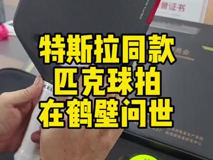 特斯拉同款匹克球在鹤壁问世#中国匹克球之城#鹤壁#皮克牛