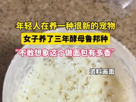 年轻人在养一种很新的宠物,近日上海一女子分享养三年酵母鲁邦种的经验。网友:不敢想象这个做面包有多香。#酵母 #面蛊 #宠物 #面包烘焙