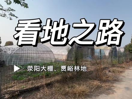 郑州看地之路——暖棚、林地
#大棚#农业#种植#郑州
