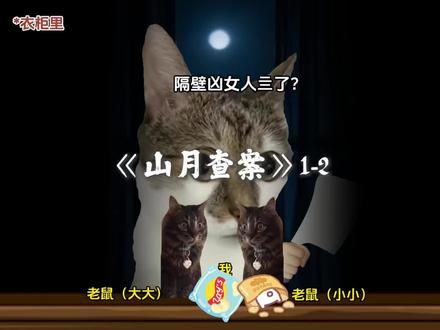 《山月查案》1-2#猫meme#悬疑 #探案 #原创动画