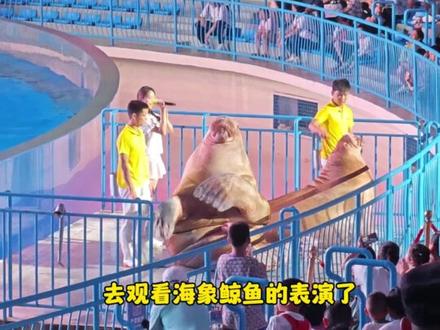 泉州欧乐堡海洋王国保姆级的游玩攻略来啦,💰200多带你玩转欧乐堡海洋王国,记得点赞收藏哦。 #泉州欧乐堡海洋王国乐园#泉州暑期亲子游#泉州欧乐堡烟花啤酒节#你是懂如何过周末的#很哇塞的周末