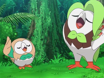 当木木枭遇上它的进化型~
#神奇宝贝 #宠物小精灵 #精灵宝可梦 #动漫剪辑