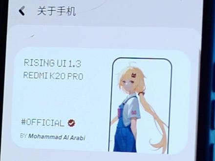 依旧强劲!RisingOS 2.1系统评测#小米手机 #数码 #刷机 #原生 #评测 #系统 #玩机技巧