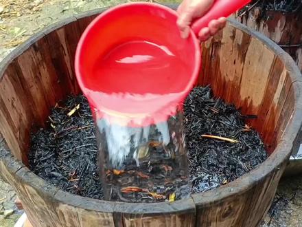 湖南隆回稻草灰汤汁粽,被称为“粽中上品”,你吃过吗? #民间传统美食 #记忆中的味道