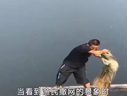 渔网的工作原理是什么?下面明明是空的,为什么还能捕上来鱼?#科普