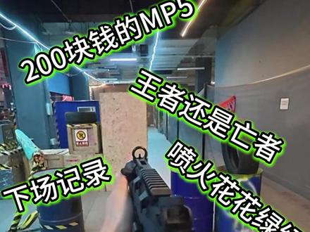 200块的盛烨mp5,王者还是亡者 @心跳PLAYER #mp5 #三角洲行动 #红狼