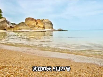 风电产业链的另一个龙头大金重工 #世界规模最大海上换流站正式启运 #大金重工#风电#清洁能源#股票 定海神针