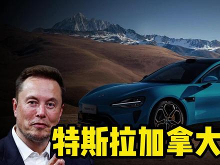 40万暴跌至19.8万!特斯拉加拿大一夜腰斩,为何谢谢中国? #特斯拉 #全球创作者计划