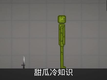 嘿嘿嘿甜瓜冷知识又来了😘 #甜瓜游乐场