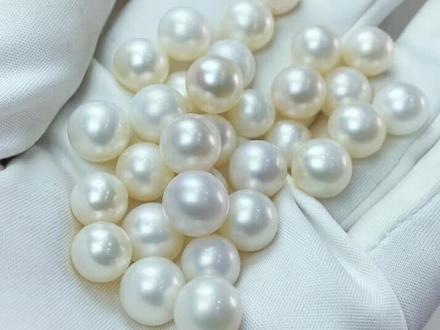 日本Akoya珍珠为什么比淡水#天然珍珠 #珠宝首饰 #珍珠饰品 珍珠贵?