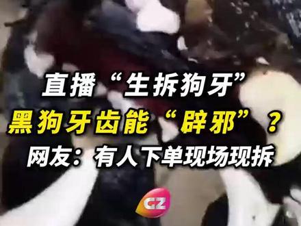 有人下单,商家就动手!有网友发现直播间有商家“生拆狗牙”称黑狗狗牙能辟邪。