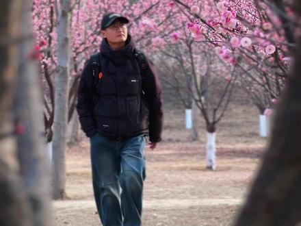 梅花林里怎么拍视频?我教你一个小技巧!#手机摄影#拍摄技巧 #拍出氛围感