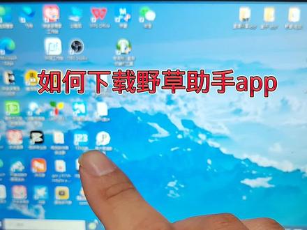 最火的野草助手app 怎么下载?教程来了
#野草助手 #电视软件