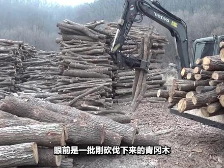 木炭是怎么烧制的?为什么要把木材碳化,直接用不行吗 #烧窑 #烧炭 #木炭制作