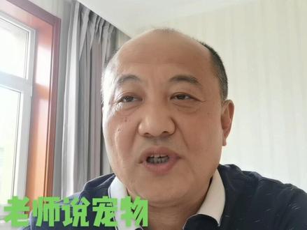 #赤峰 #猫维生素A中毒#宠物医院 #转发给身边的人