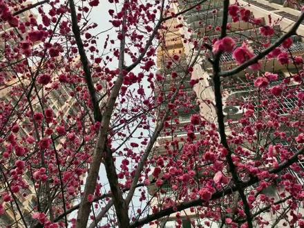 古装剧《不让江山》官宣杨洋领衔主演,开机仪式粉丝应援很用心! 「娱乐」古装剧《不让江山》官宣杨洋领衔主演,横店秦王宫开机仪式粉丝线下应援好用心!祝拍摄顺利,狠狠期待住了!#不让江山 #杨洋 #古装剧