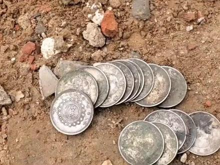 上海一农地突然出现大量“银元” #留子生存争霸赛