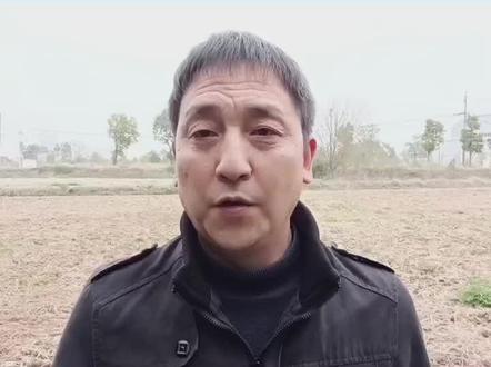 水稻育秧的五大技术要点#水稻种植