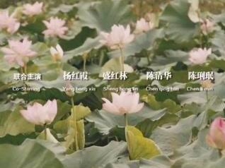 #弘扬戏曲文化 #弘扬河南戏曲文化 #豫剧电影 #豫剧汪荃珍 #豫剧 #汪荃珍 #汪荃珍老师主演的现代豫剧 #豫剧电影版香魂女 #杨红霞 #盛红林 #陈琍珉 #香魂塘畔的香魂女 #豫剧陈清华