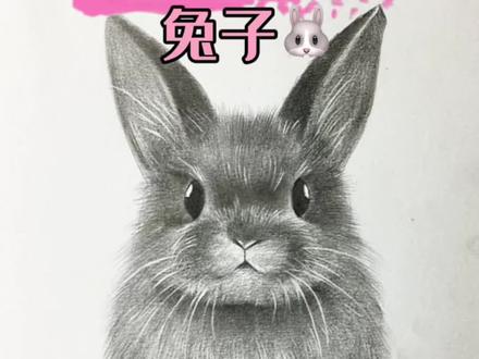 一学就会的小兔子教程 #零基础学画画 #素描 #素描动物 #画兔子 #绘画