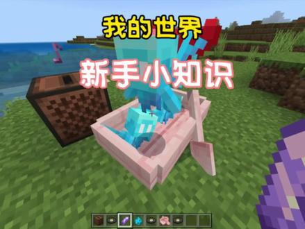 我的世界:你不知道的新手小知识