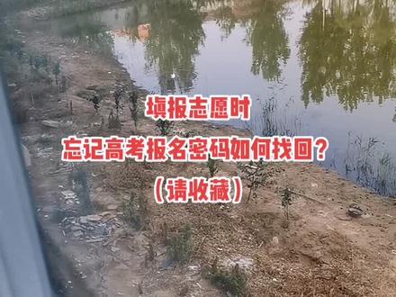 一定要牢记在高考报名时所设置的密码,并且注意保密。在后期报名信息、体检信息、高考成绩查询以及志愿填报时都须使用此密码进行登录。
若考生遗忘了此密码,可进行密码重置,重置后的默认密码为考生身份证号后8位。
密码重置方法
密码重置可通过手机微信重置,考生使用手机关注“河北省教育考试院”微信公众号,进入“密码找回”页面,通过人脸识别自助进行密码重置。
或通过计算机重置密码,考生使用能够访问互联网并装有摄像头的计算机,通过人脸识别自助进行密码重置。不过此方法需要安装人脸认证组件,下载方式及使用说明可通过志愿填报或考生信息查询系统考生登录页面右下角“找回密码”链接进入查看。
此外,还可以到就近报名点重置密码。考生携带本人身份证到任何一个报名点,通过读取身份证、人脸识别完成密码重置。