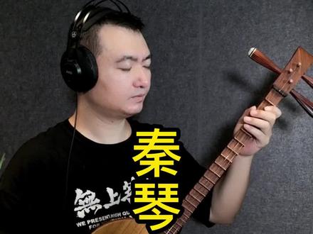 我用秦琴来治愈你 #这世界那么多人 #乐器演奏 #秦琴