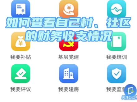#善美村居
如何查看自己村、社区的财务收支情况