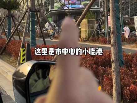 上海的美食还得看临港蓝鲸的大商场啊#美食 #临港 #比会吃更惠吃