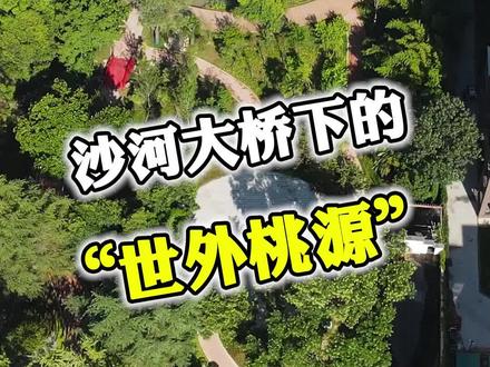 沈丘沙河大桥下边竟然有一片闹中取静的世外桃源#沈丘 #抖出你的家乡 #我为家乡代言