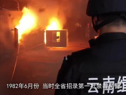致敬每一位辑毒英雄#辑毒 #杨欣欣