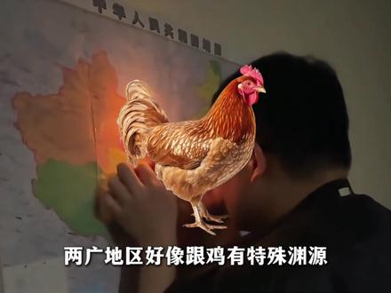 各省网友使用手册,原来不知火舞是山东人 #方言 #不知火舞 #山东 #抽象