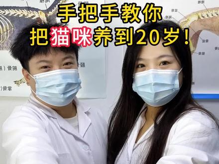 手把手教你养成健康小猫
#猫咪 #宠物科普 #新手养猫