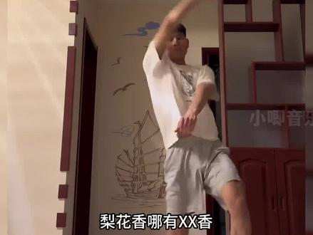 “梨花香”是什么梗?原曲竟是一首回忆杀#梨花香 #霜雪千年 #回忆杀 #河图 #古风歌曲
