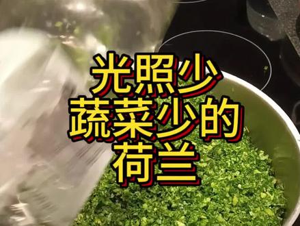 圣诞节第二天就吵着要吃这个菜-荷兰经典菜肴 #美食视频 #荷兰 #减肥 #美食 #日常