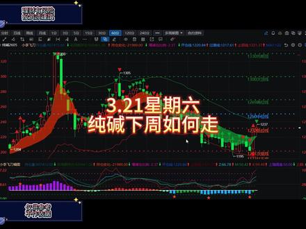 3.21纯碱下周行情解读 #财经 #期货 #纯碱 #韭菜