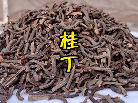 《桂丁》的餐饮价值与应用