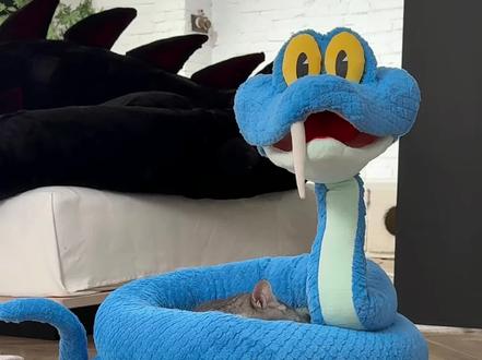 5米长的毛绒玩偶盖瑞一条蛇,DIY教程来了#疯狂动物城2 #盖瑞 #拓竹 #3d打印 #手工diy